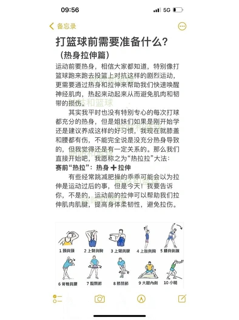 哪里能找到针对初学者的篮球训练措施